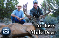 archeryMuleDeerThumb HOME