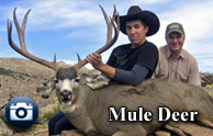 rifleMuleDeerThumb HOME