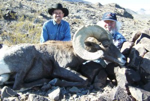 2000s10a 300x203 Nevada Desert Bighorn Sheep, Leeder Hunting