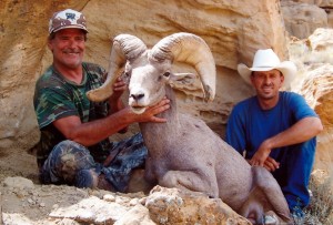 2000s11a 300x203 Utah Desert Bighorn Sheep, Leeder Hunting