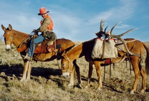 2000s3a 300x203 Utah Bull Elk, Leeder Hunting
