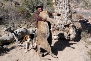 2000s5a 300x203 Nevada Mt.Lion, Leeder Hunting